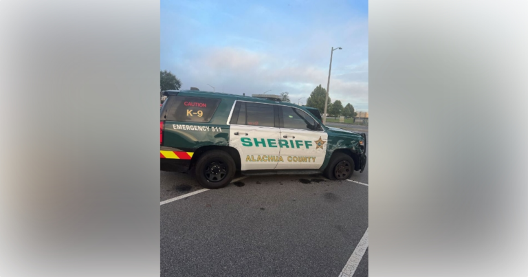 Alachua County Sheriff’s Office releases dashcam video showing pursuit of stolen box truck on I-75