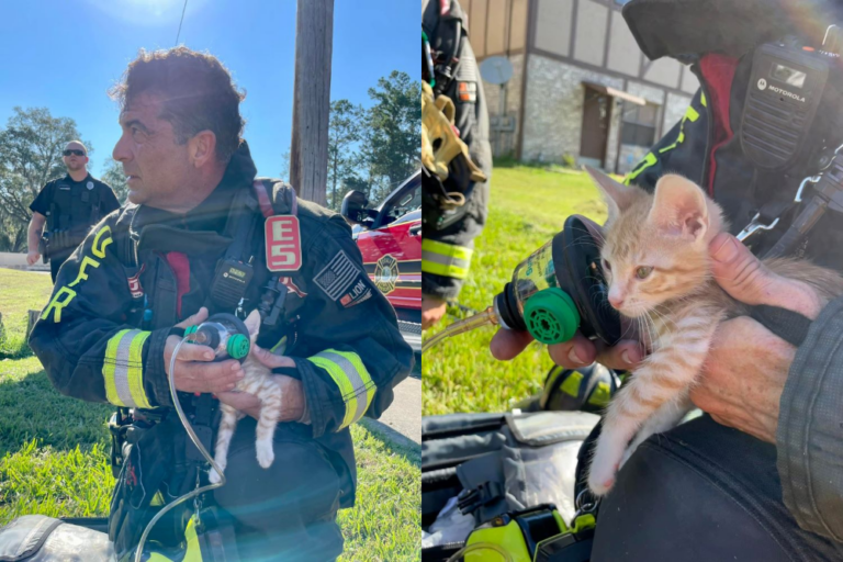 OFR fire pets rescued August 15 2022 resized