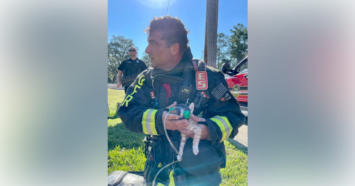 Ocala firefighters rescue four pets from apartment fire 3