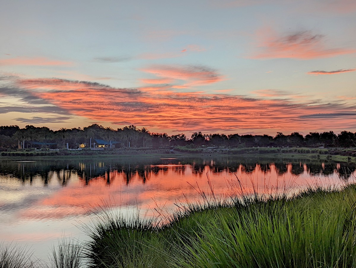 Sunrise Reflected On Lake At Ocala Preserve