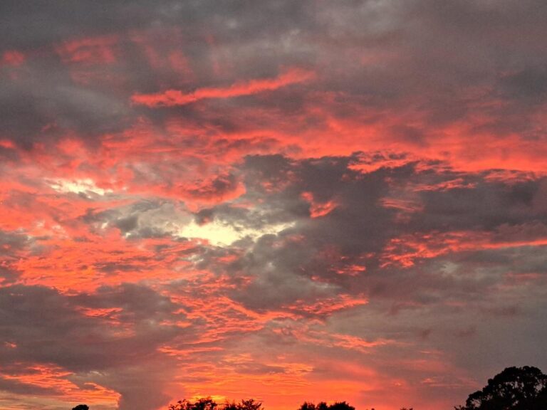 Beautiful Sunset Over Northwest Ocala’s Farm Country