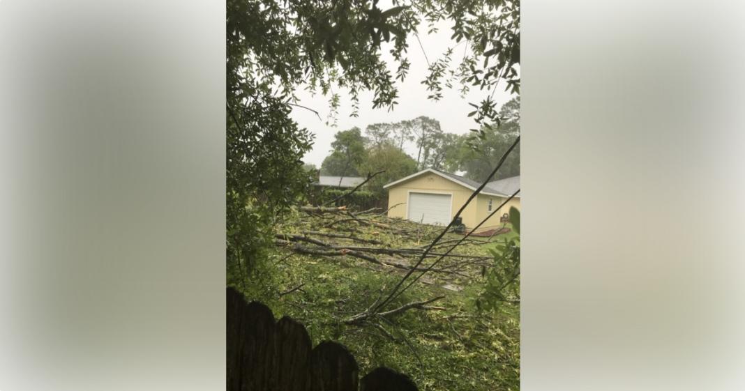 ocala-electric-utility-crews-encounter-downed-trees-power-lines