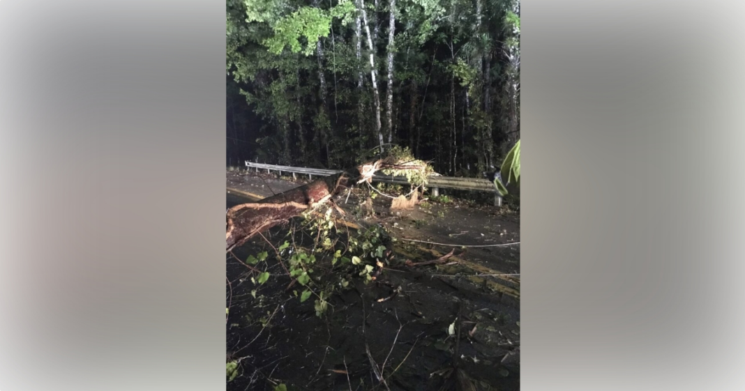 Ocala Electric Utility Crews Encounter Downed Trees Power Lines 