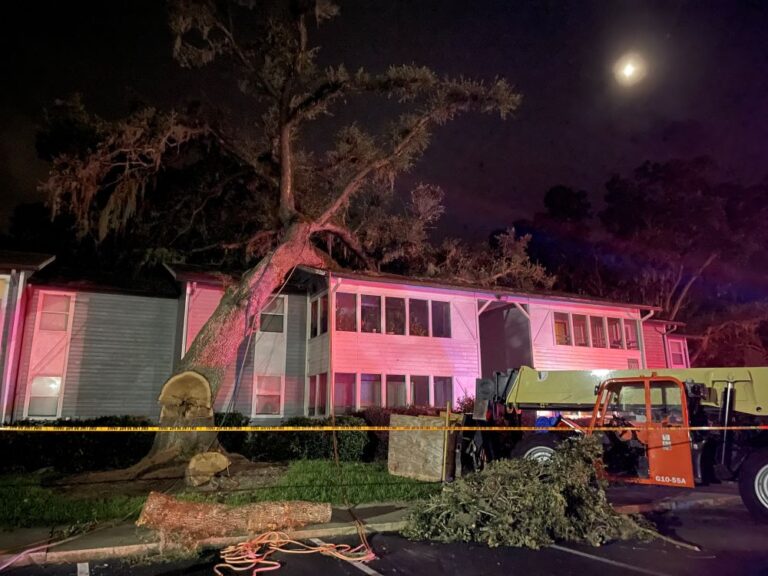 Twelve families displaced after falling tree damages Ocala apartment building