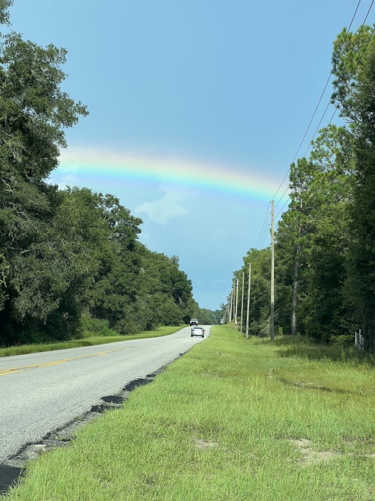 Rainbow Over The Rainbow River In Dunnellon