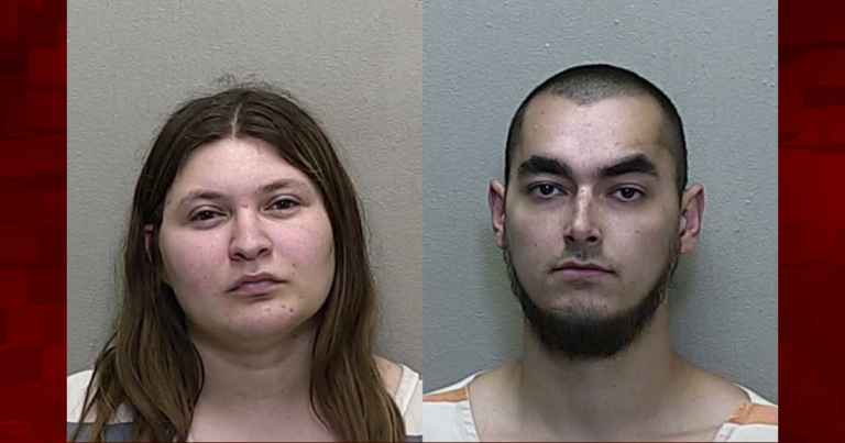 Two Ocala residents arrested for aggravated animal cruelty after MCSO finds malnourished horses
