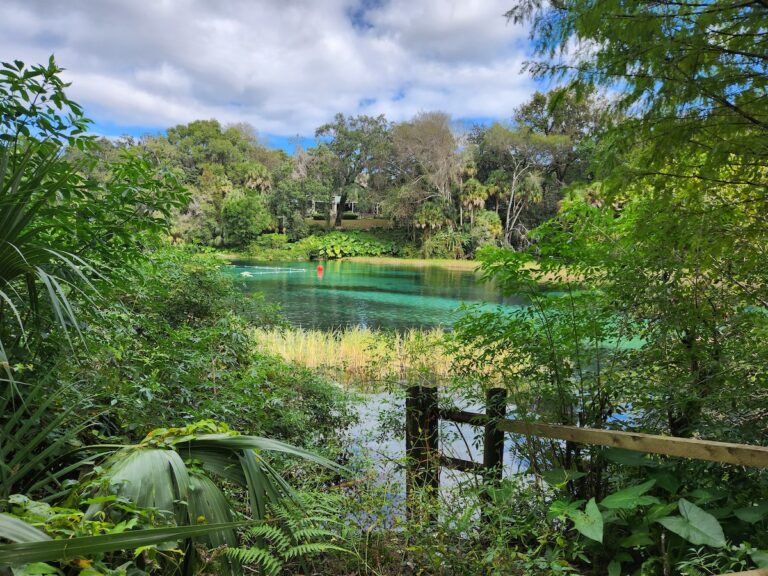Beautiful View Of Rainbow Springs State Park
