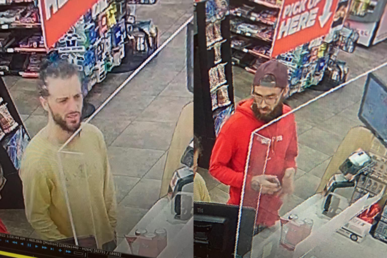 Dunnellon police looking for persons of interest in car theft case