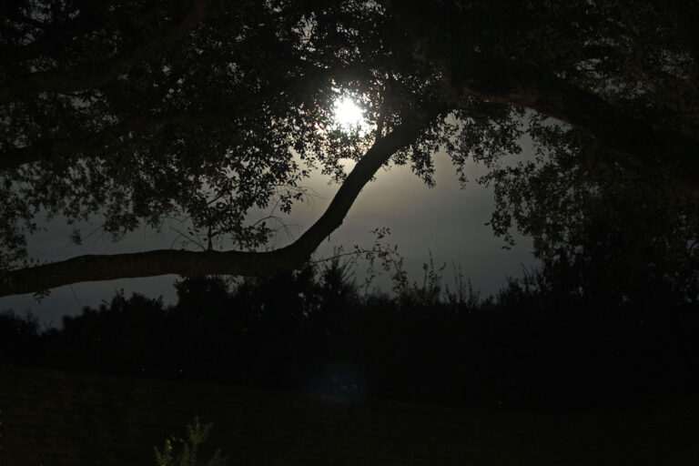 Moonlight Over On Top Of The World Community In Ocala