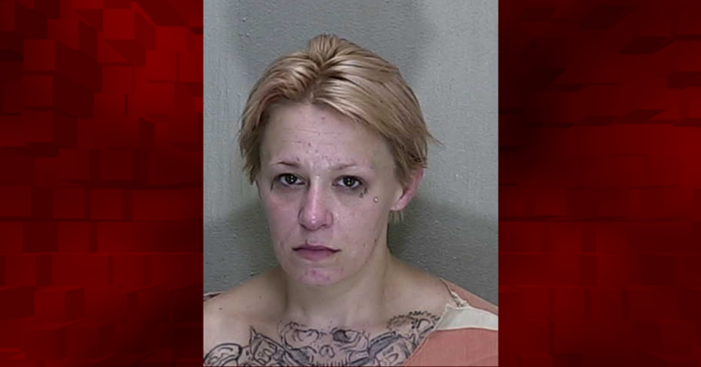 Fort McCoy woman with prior theft convictions arrested after stealing lingerie