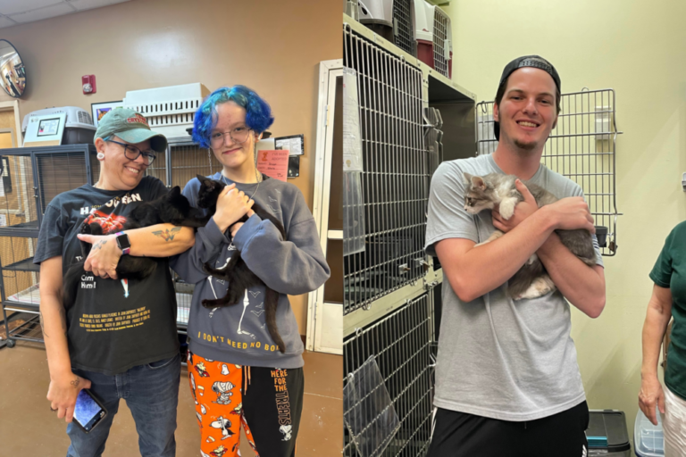 Humane Society of Marion County helps over 200 pets find new homes in October