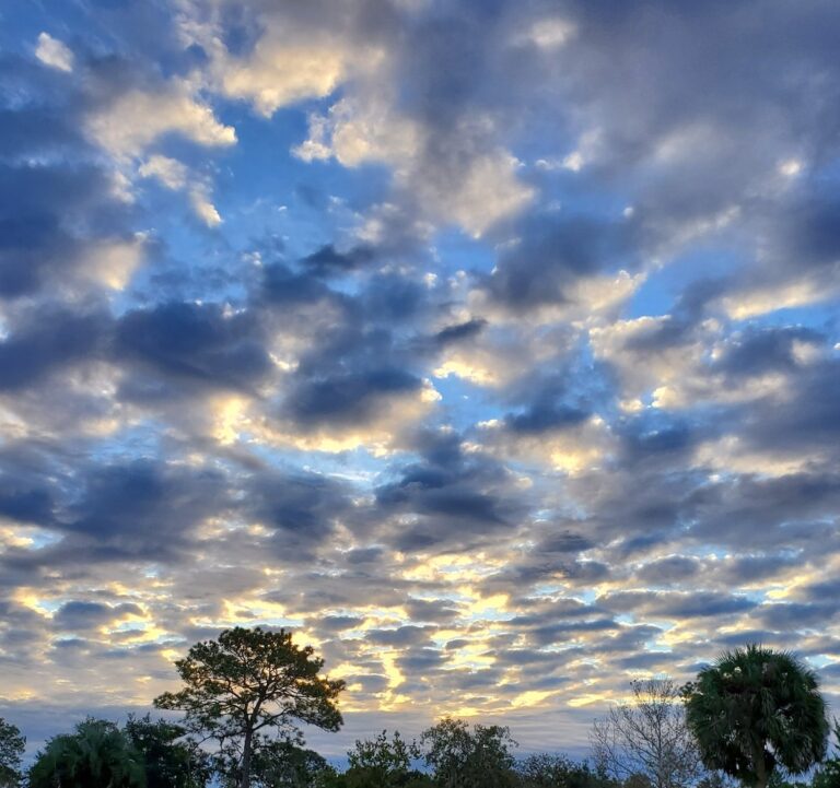 Morning Sky Over Silver Springs Shores In Ocala