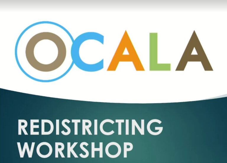 Ocala redistricting workshop