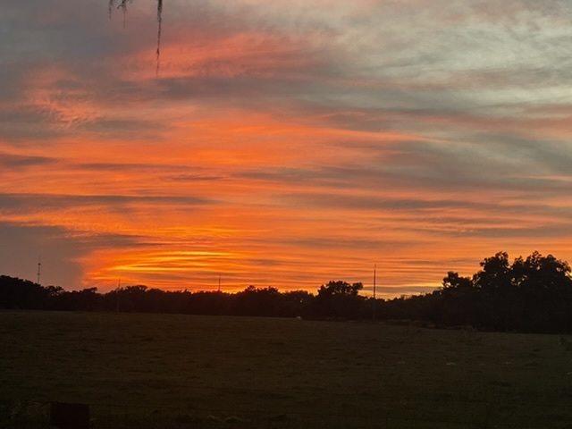 Orange Sunset In The Florida Highlands