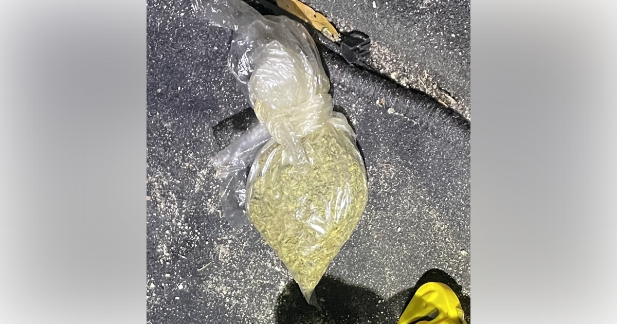 Traffic stop for tint violation leads to two arrests after officers find stolen gun marijuana 2