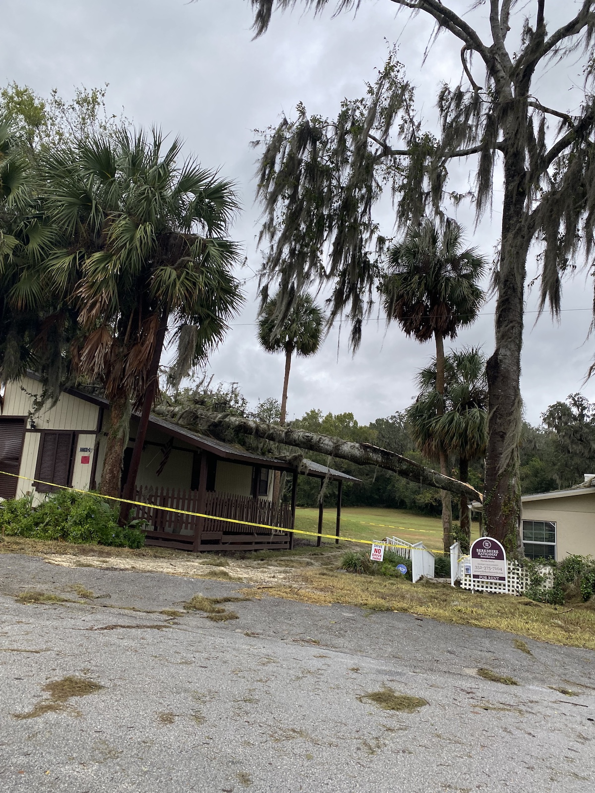Tree Falls On House In Orange Lake After Hurricane Nicole