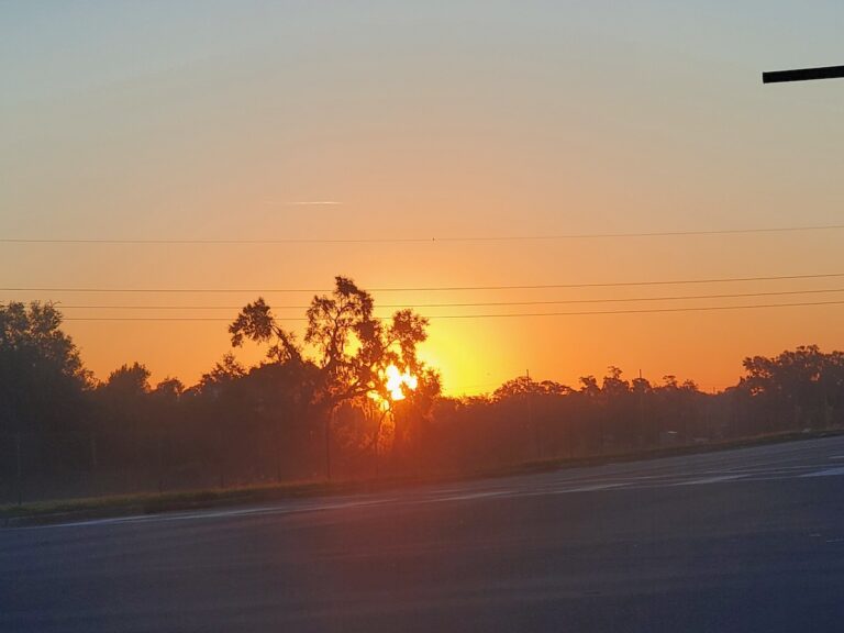 Beautiful Morning Sunrise Over Maricamp In Ocala