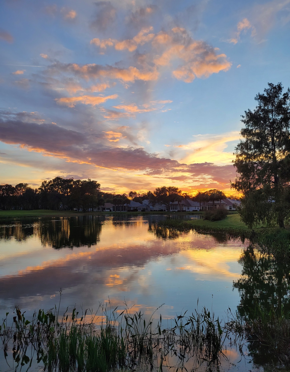 Colorful Reflections At The Royal Oaks Golf Gourse At Oak Run Country Club In Ocala
