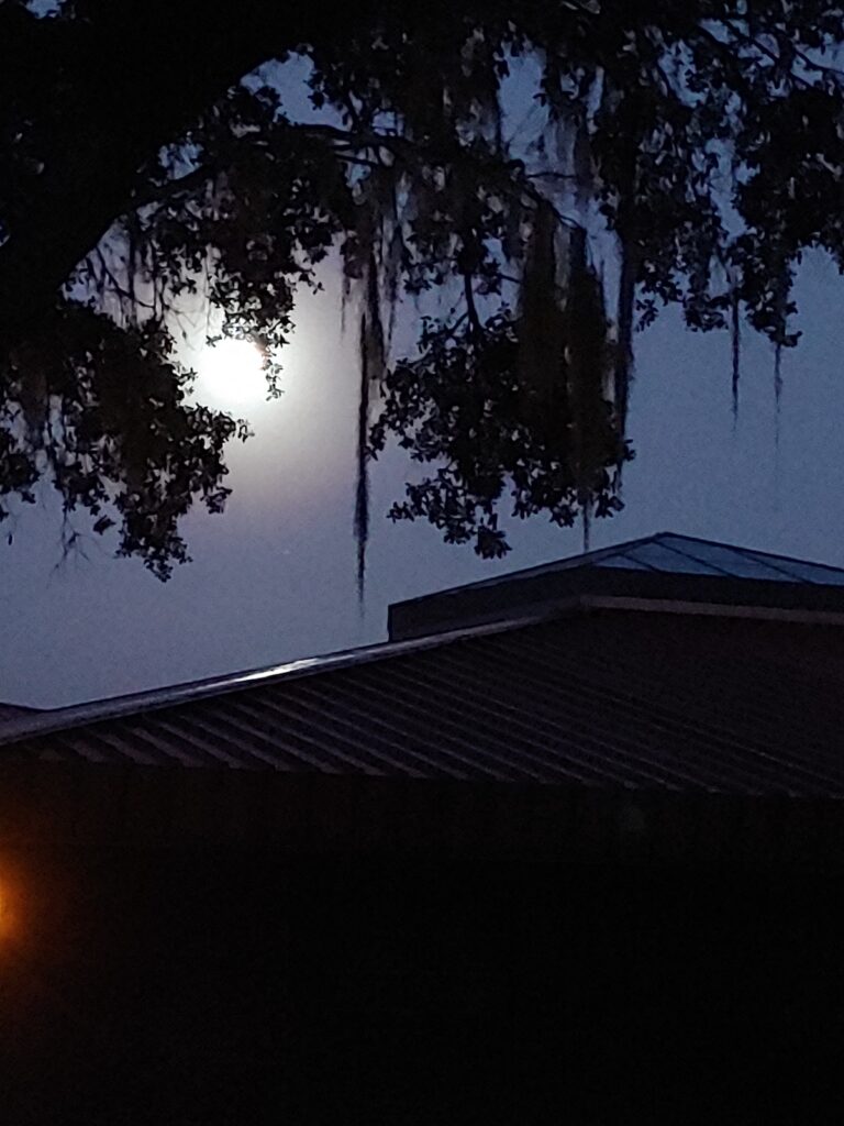 Full Moon Over Library At Fort McCoy School