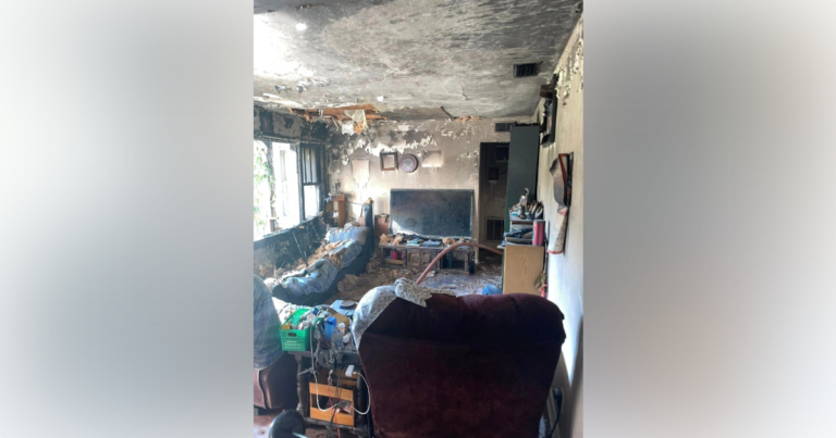 Ocala firefighters save dog after fire ignites inside home