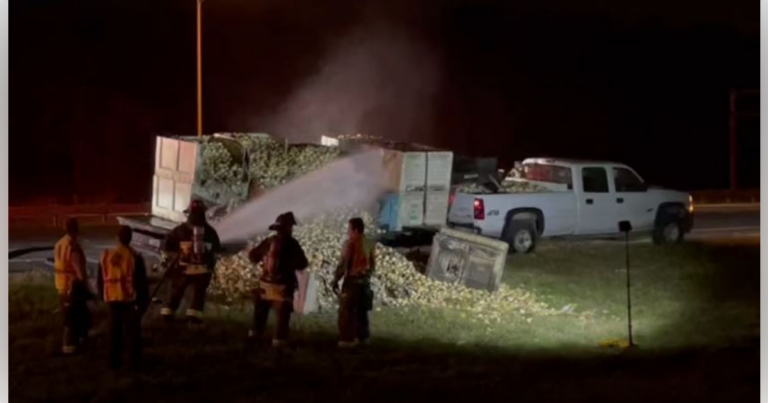 Truck hauling 6,000 pounds of onions catches fire on I-75 in Marion County