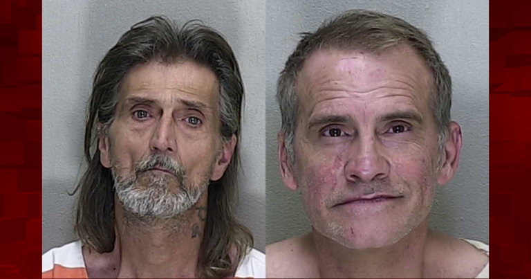 Two Belleview men jailed after attempting to get rid of stolen vehicle 3