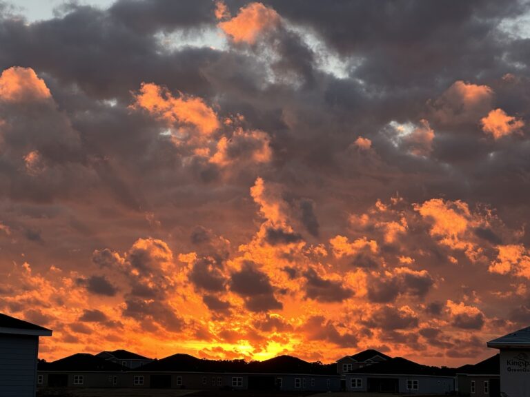 Beautiful Fiery Sunset In Ocala