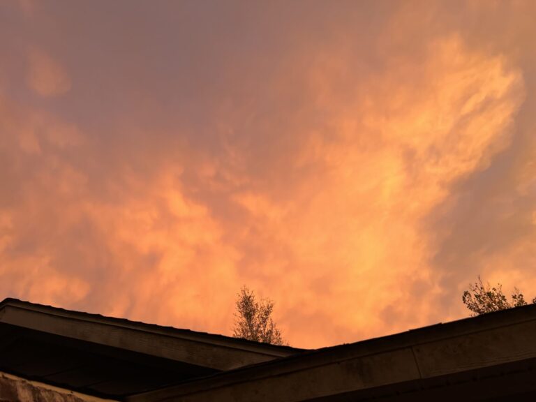 Beautiful Orange Sunset In Ocklawaha