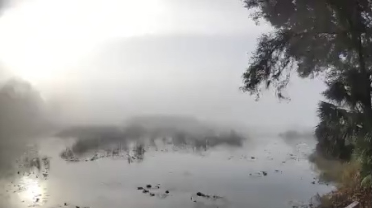 Foggy Mist Over Smith Lake In Belleview