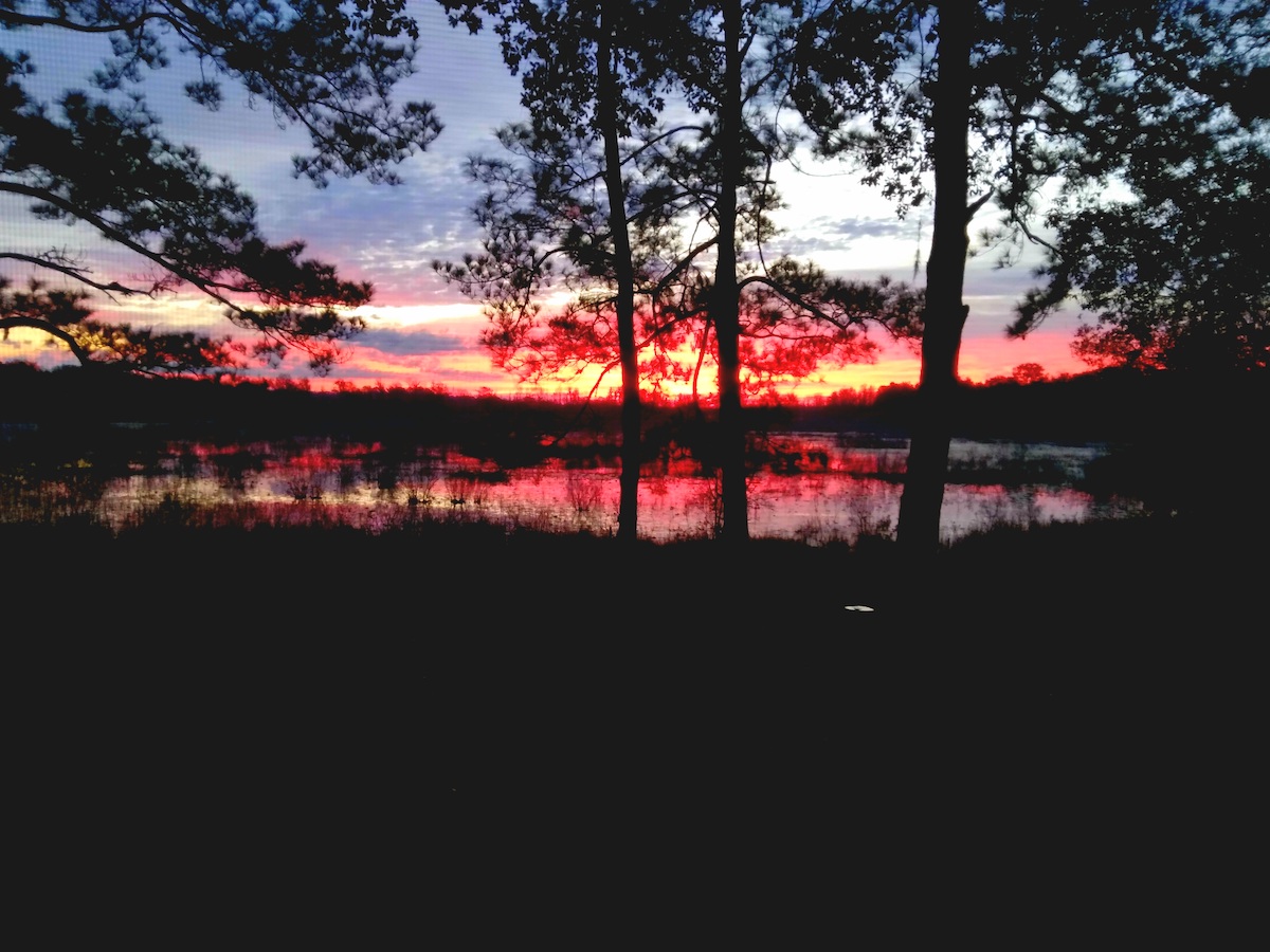 Sunrise over North Lake in Ocala National Forest