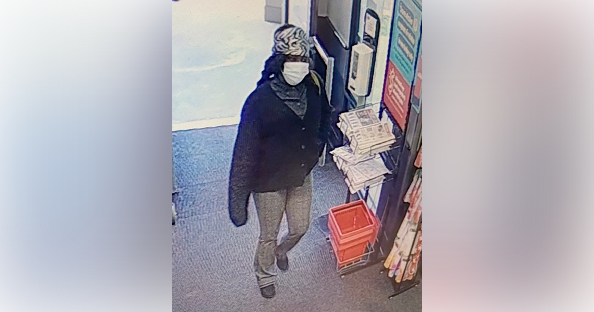 Theft at Winn-Dixie store in Marion County (January 2023) - second female suspect