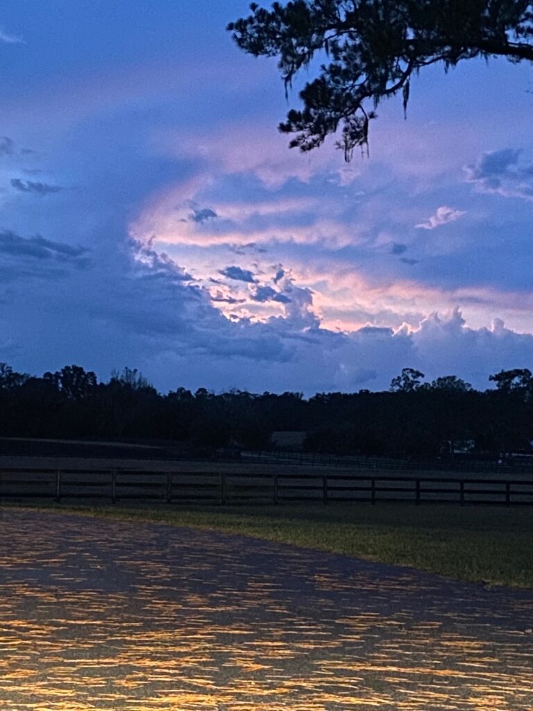 Clearing Skies Over Double Diamond Farm In Ocala