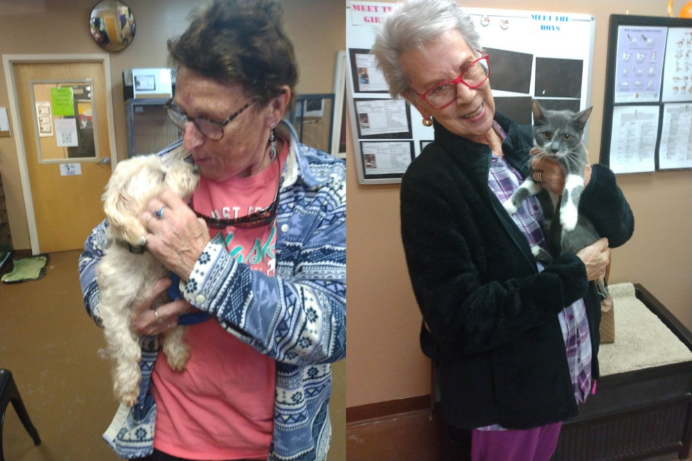Humane Society of Marion County - January 2023 pet adoptions