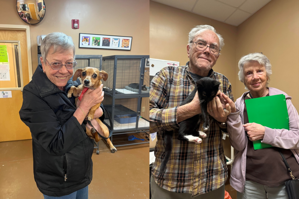 Humane Society of Marion County - January 2023 pet adoptions