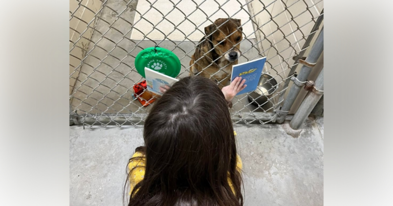Humane Society of Marion County inviting children to read to shelter dogs 1
