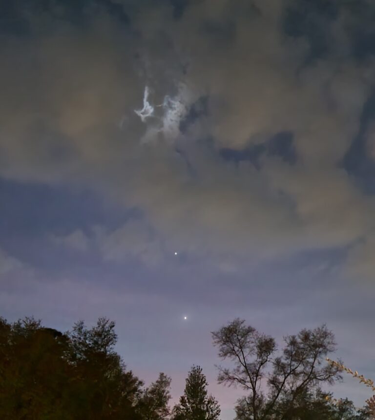 Moon, Venus And Jupiter In Night Sky Above Silver Springs Shores