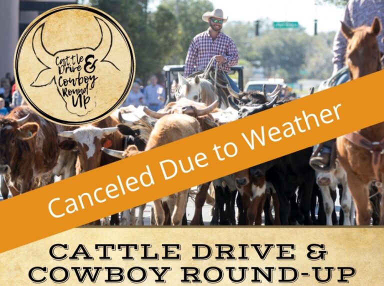 Ocala Cattle Drive Cowboy Round Up cancelled image