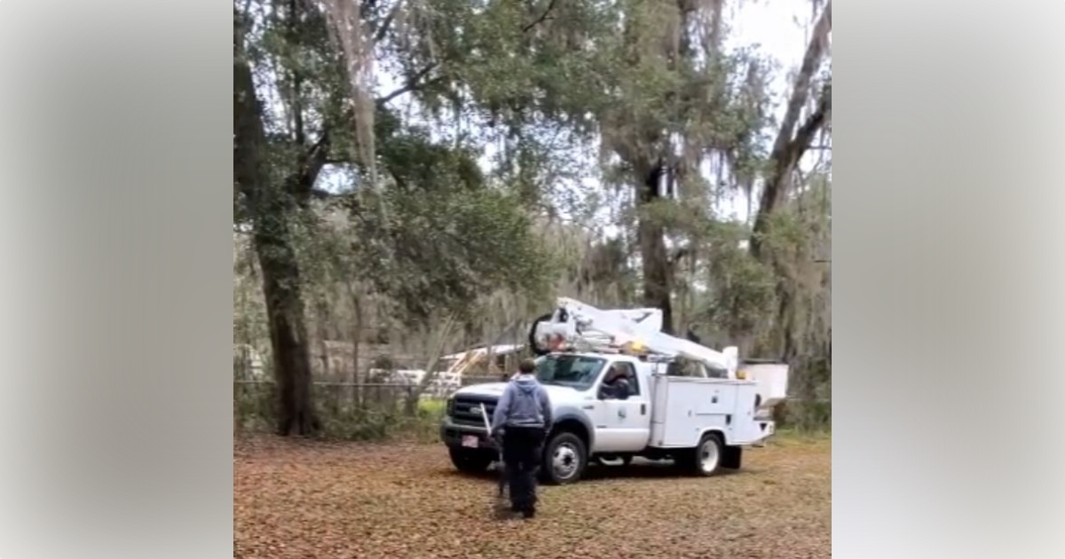 Ocala Recreation and Parks employees rescue kitten from tree