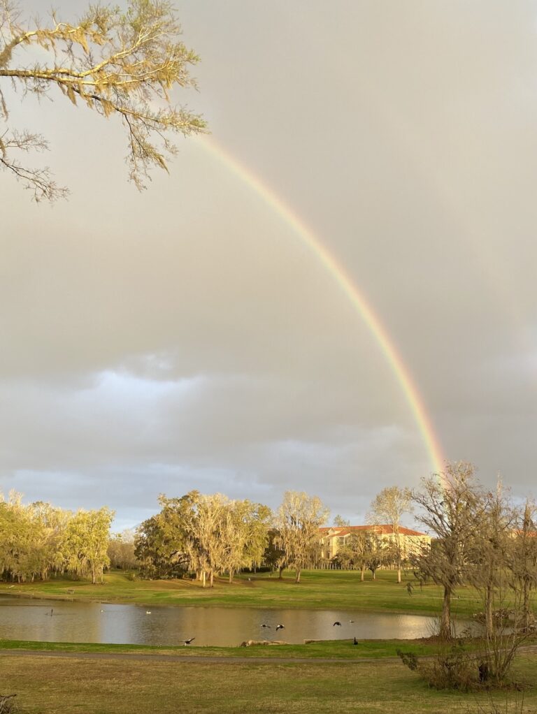 Rainbow Over Polly Palmer Park In Ocala