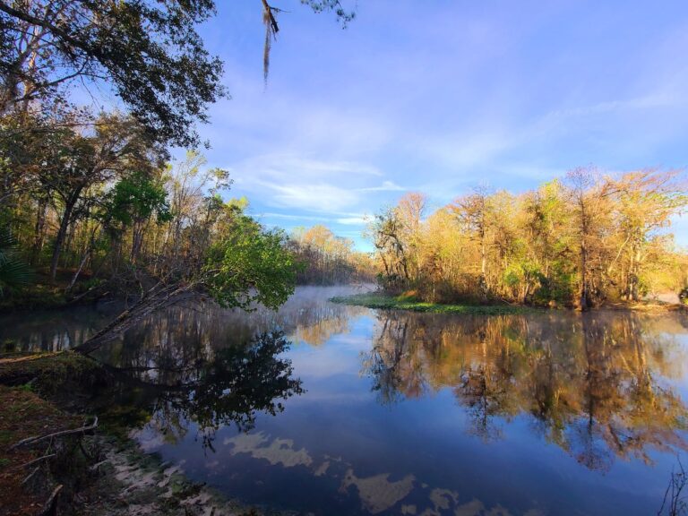 Reflections On The Ocklawaha River