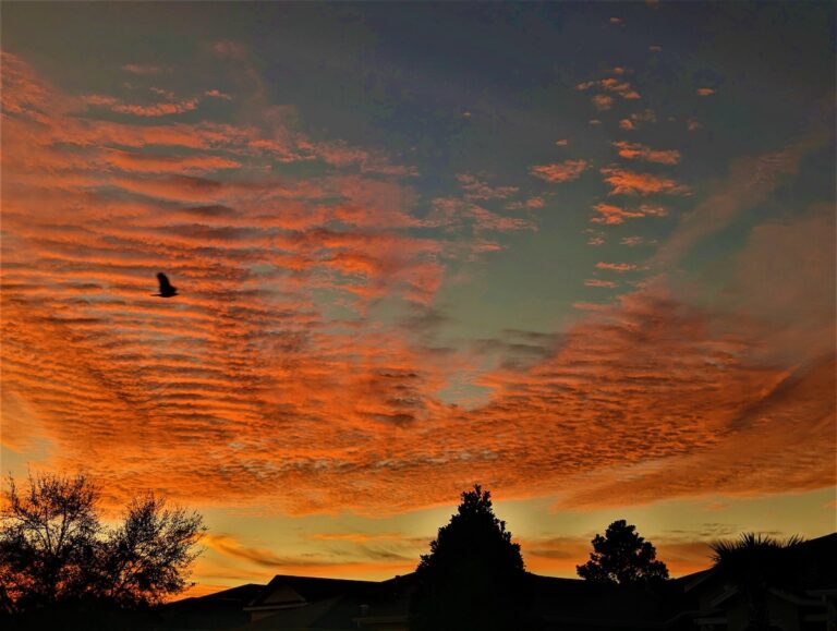 Stunning Morning Sky Over The SummerGlen Community In Ocala