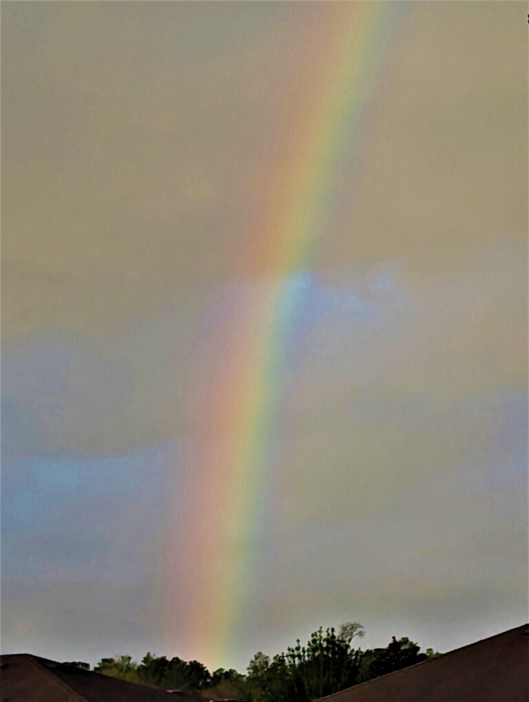 Sunday Morning Rainbow In Ocala