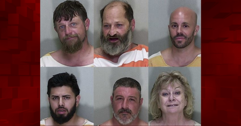Marion County Sheriff’s Office deputies make six DUI arrests over weekend