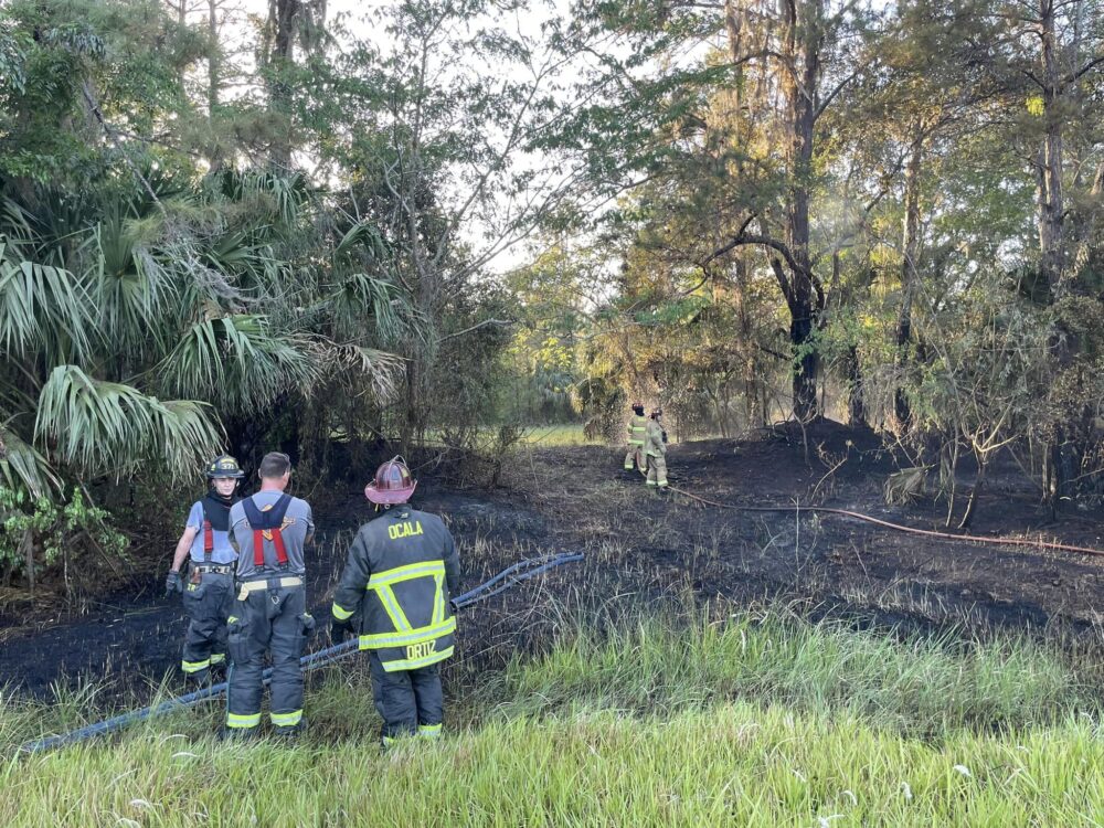 Ocala Fire Rescue grass fire near Cala Hills on March 24 2023 - photo of multiple firefighters after flames were extinguished