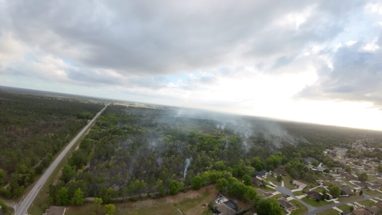 Drone View Of Prescribed Burn In Ocala