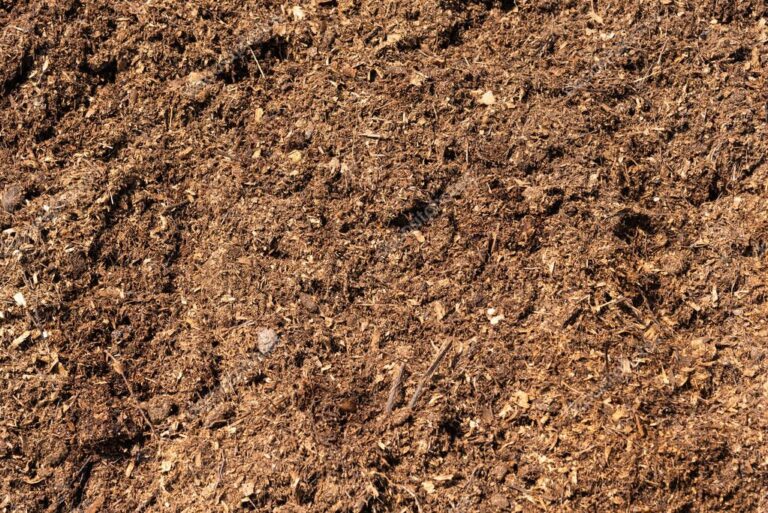 Horse manure waste fertilizer feature image