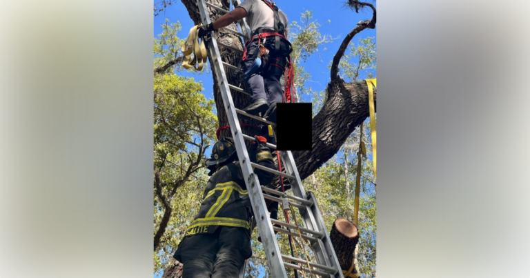 Marion firefighters rescue man stuck in tree 1