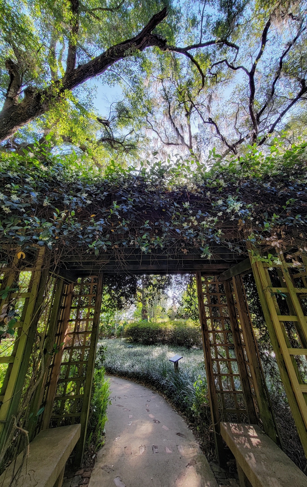 Stop And Smell The Jasmine At Sholom Park