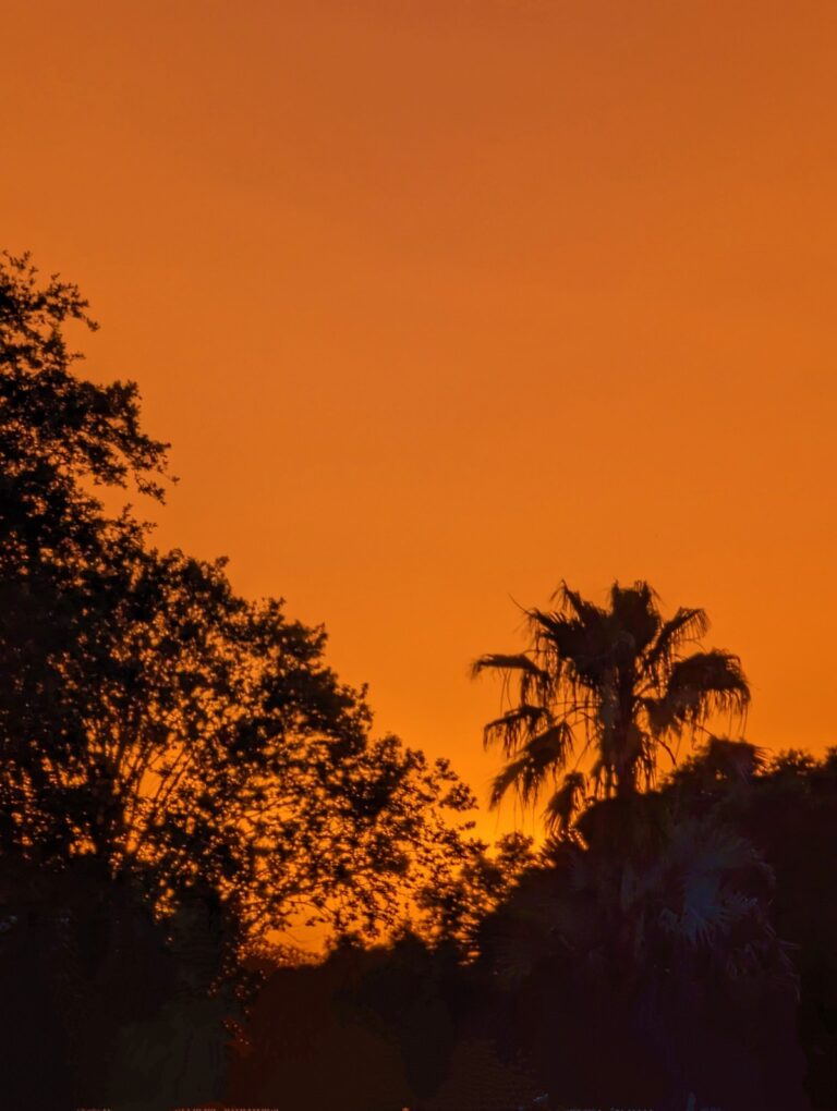 Vivid Orange Sunset Over Ocala's Summerglen Community