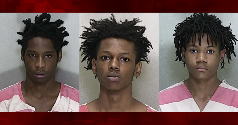 12 year old boy 2 teens charged as adults in Marion County triple homicide 1